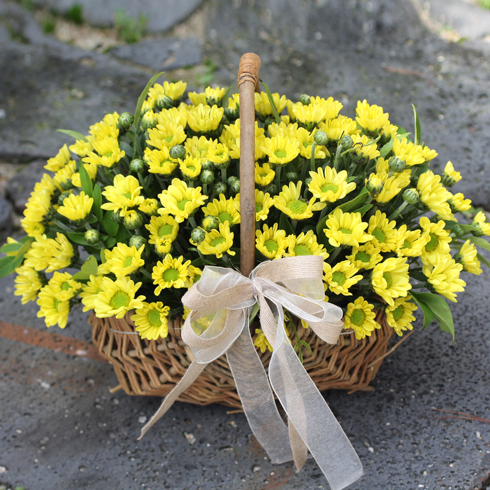 »óǰ ¼¶³×ÀÏ »óǰ ¼¶³×ÀÏ