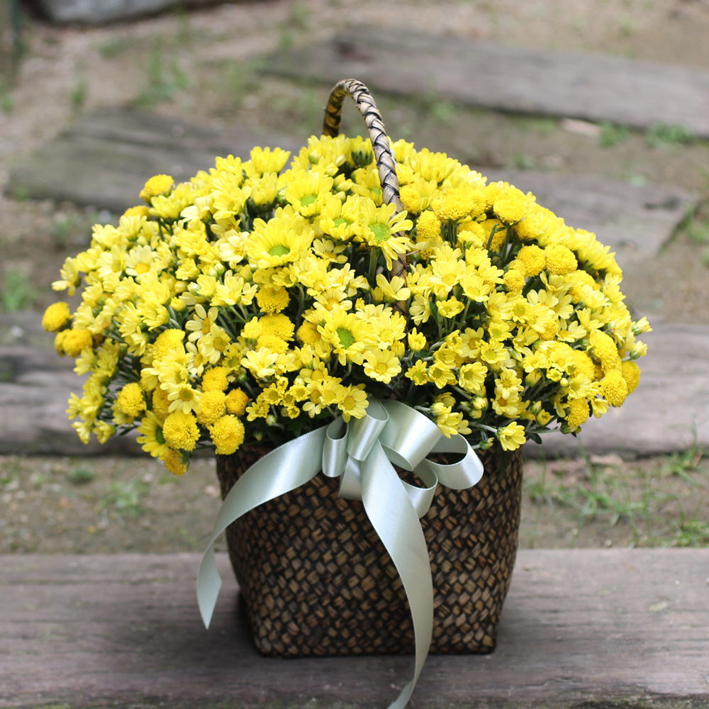 »óǰ ¼¶³×ÀÏ »óǰ ¼¶³×ÀÏ