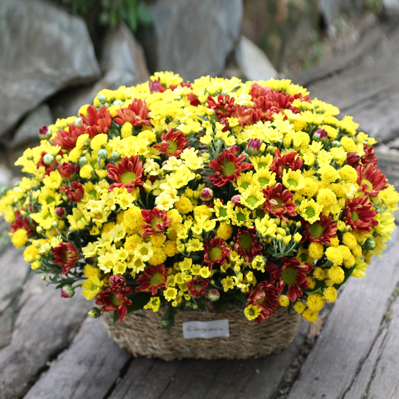 »óǰ ¼¶³×ÀÏ »óǰ ¼¶³×ÀÏ