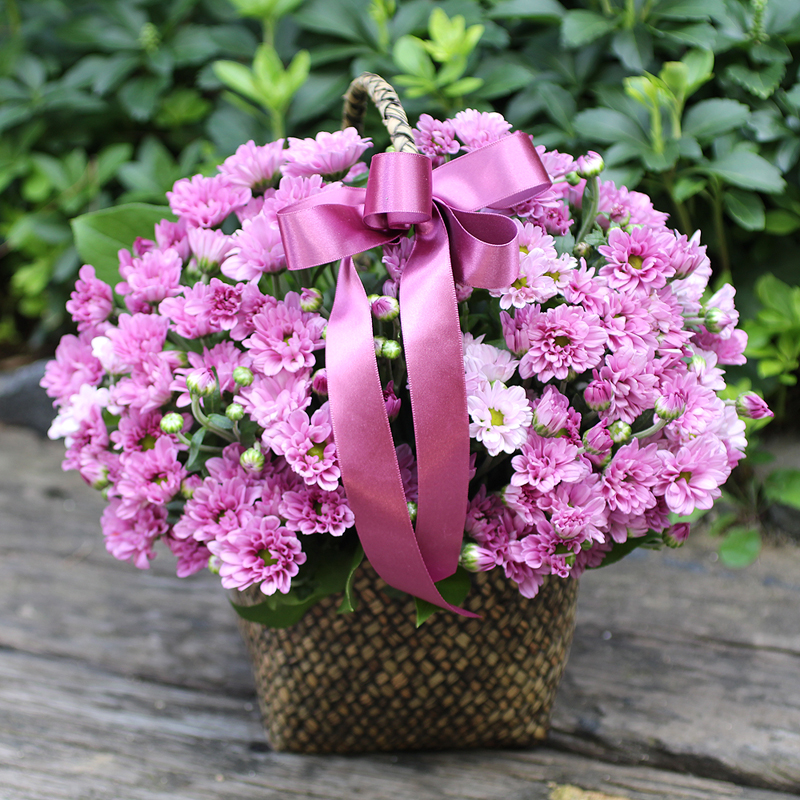 »óǰ ¼¶³×ÀÏ »óǰ ¼¶³×ÀÏ