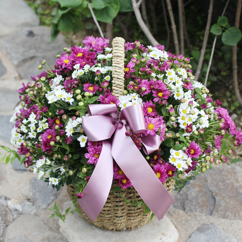 »óǰ ¼¶³×ÀÏ »óǰ ¼¶³×ÀÏ