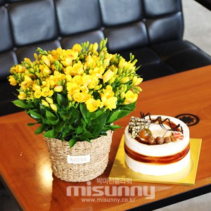 ��ǰ ������