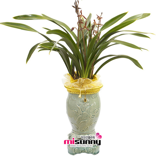 »óǰ ¼¶³×ÀÏ »óǰ ¼¶³×ÀÏ