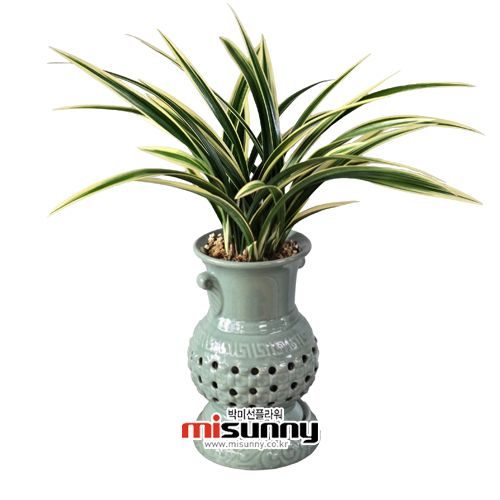 ��ǰ ������