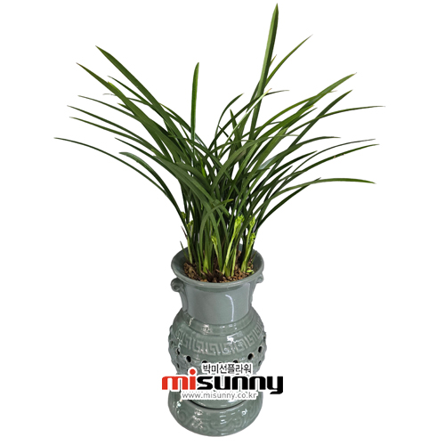 »óǰ ¼¶³×ÀÏ »óǰ ¼¶³×ÀÏ