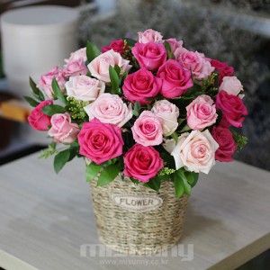 ��ǰ ������