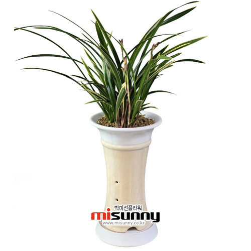 »óǰ ¼¶³×ÀÏ »óǰ ¼¶³×ÀÏ