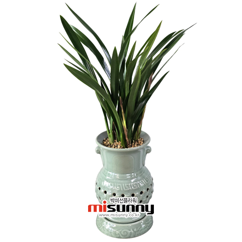 »óǰ ¼¶³×ÀÏ »óǰ ¼¶³×ÀÏ