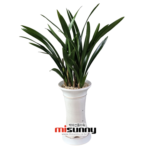 »óǰ ¼¶³×ÀÏ »óǰ ¼¶³×ÀÏ