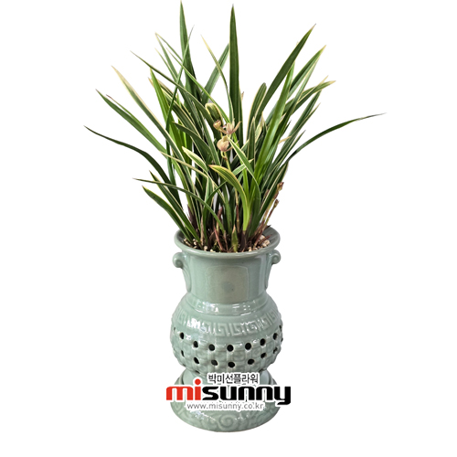 »óǰ ¼¶³×ÀÏ »óǰ ¼¶³×ÀÏ