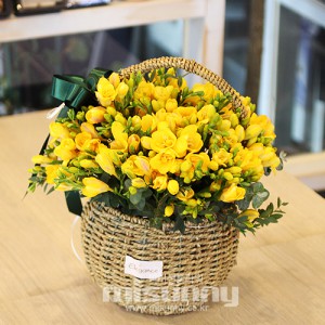 ��ǰ ������